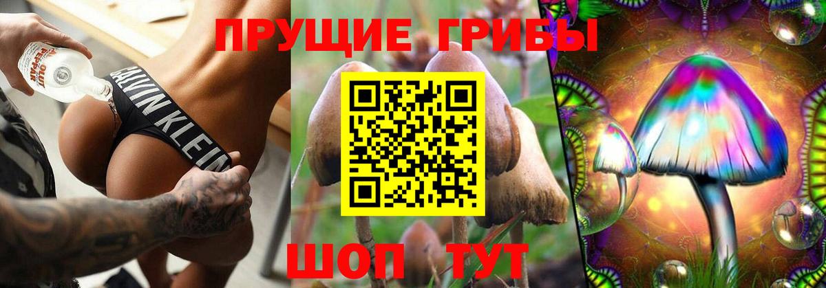 Псилоцибиновые грибы мицелий Мыски